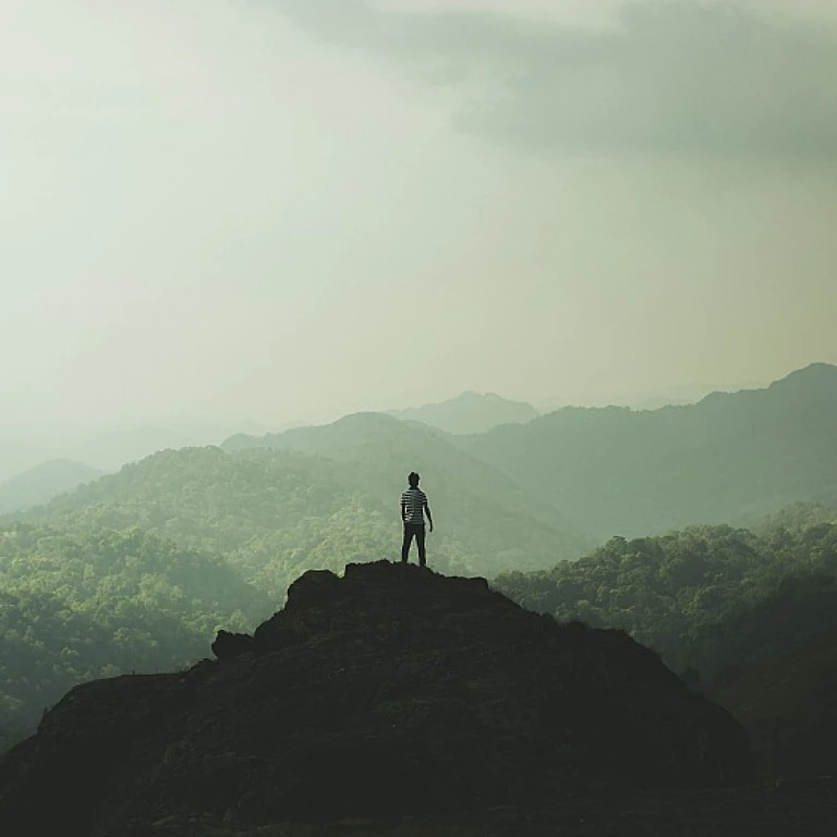 Navigating Talent Acquisition with Orbis Careers