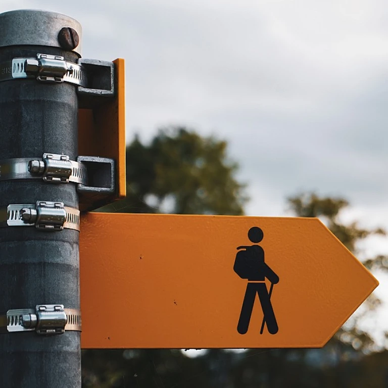 Enhancing Talent Acquisition with the eSuite HR Portal